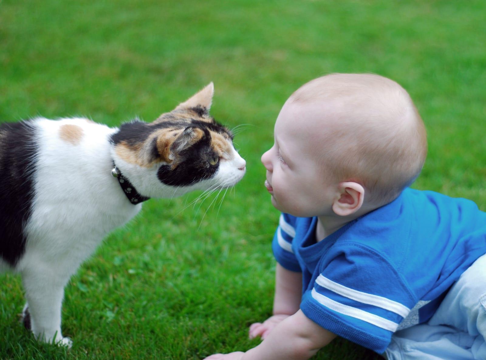 Les activités de découverte des animaux et de la nature avec son bébé