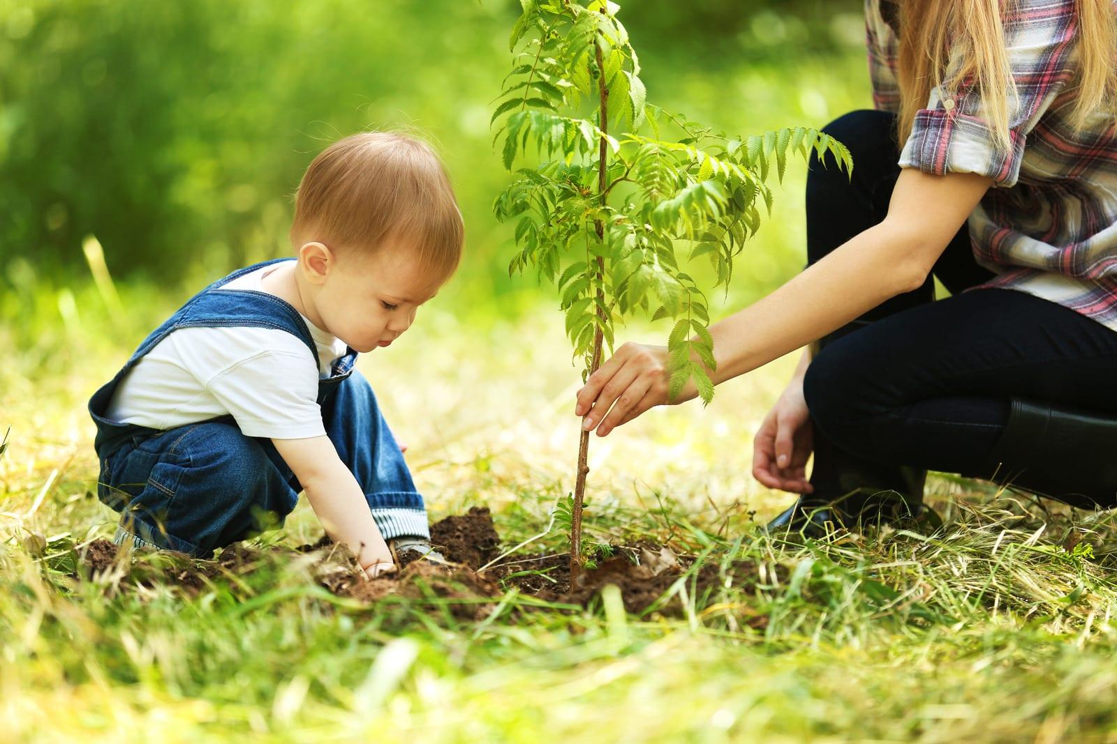 Les activités de jardinage pour découvrir la nature et les plantes